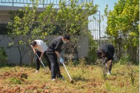 图二.jpg 图二.jpg